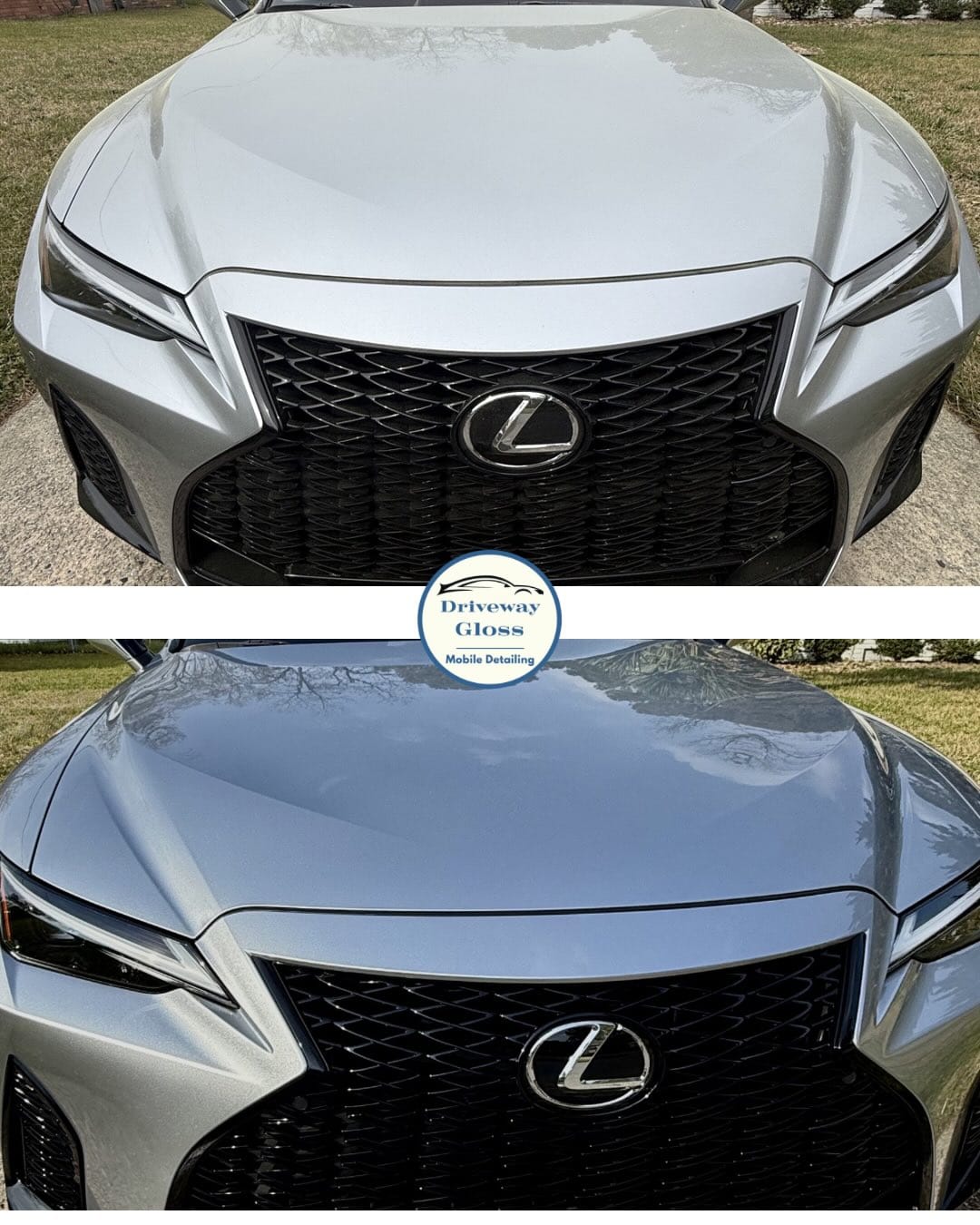 Lexus IS-F before and after a full detail — dull dusty paint and grille on top, mirror-finish gloss reflecting trees on the bottom