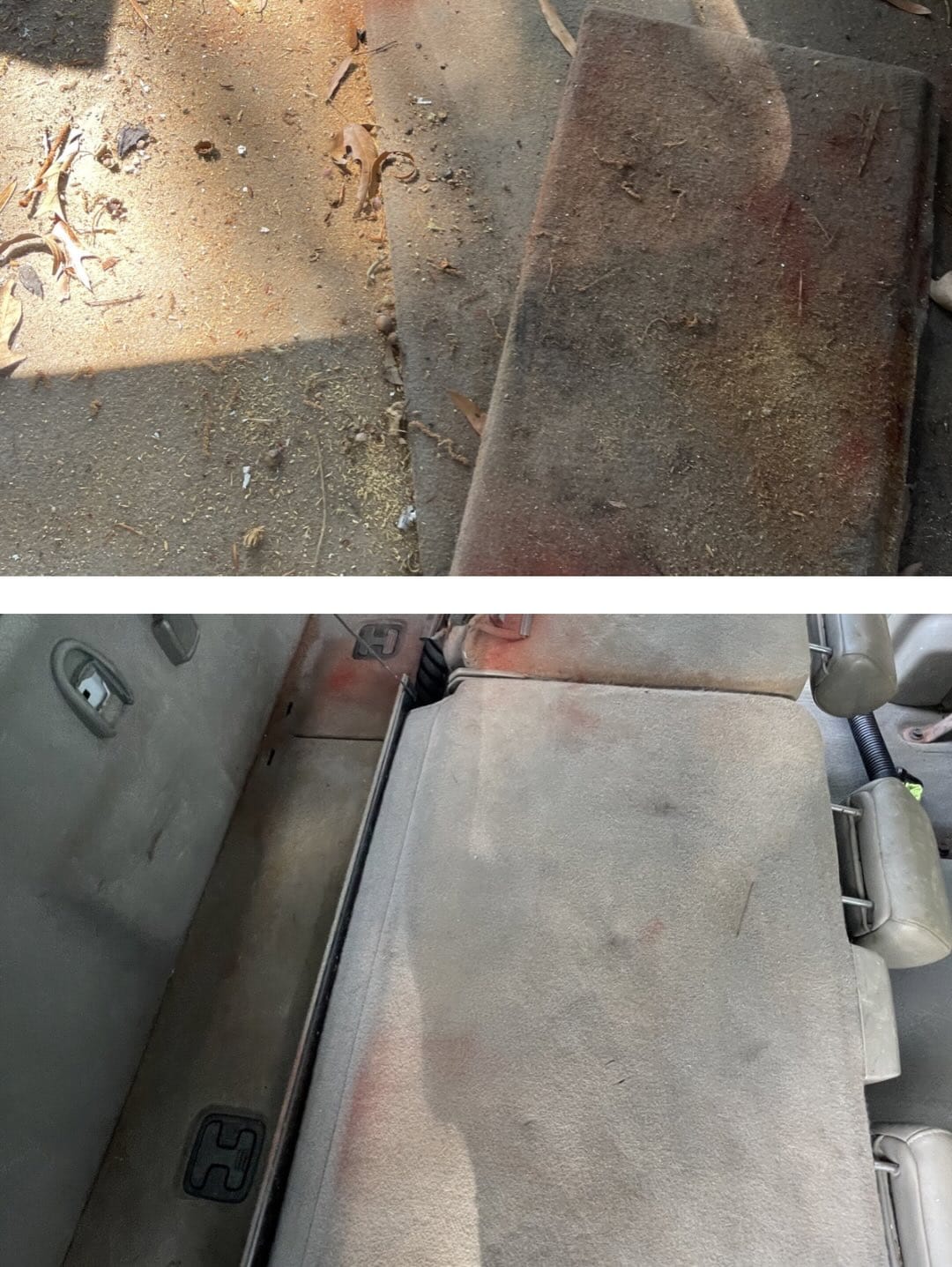 Truck interior carpet before and after — leaves, dirt, and stains on top; cleaned and refreshed carpet on the bottom